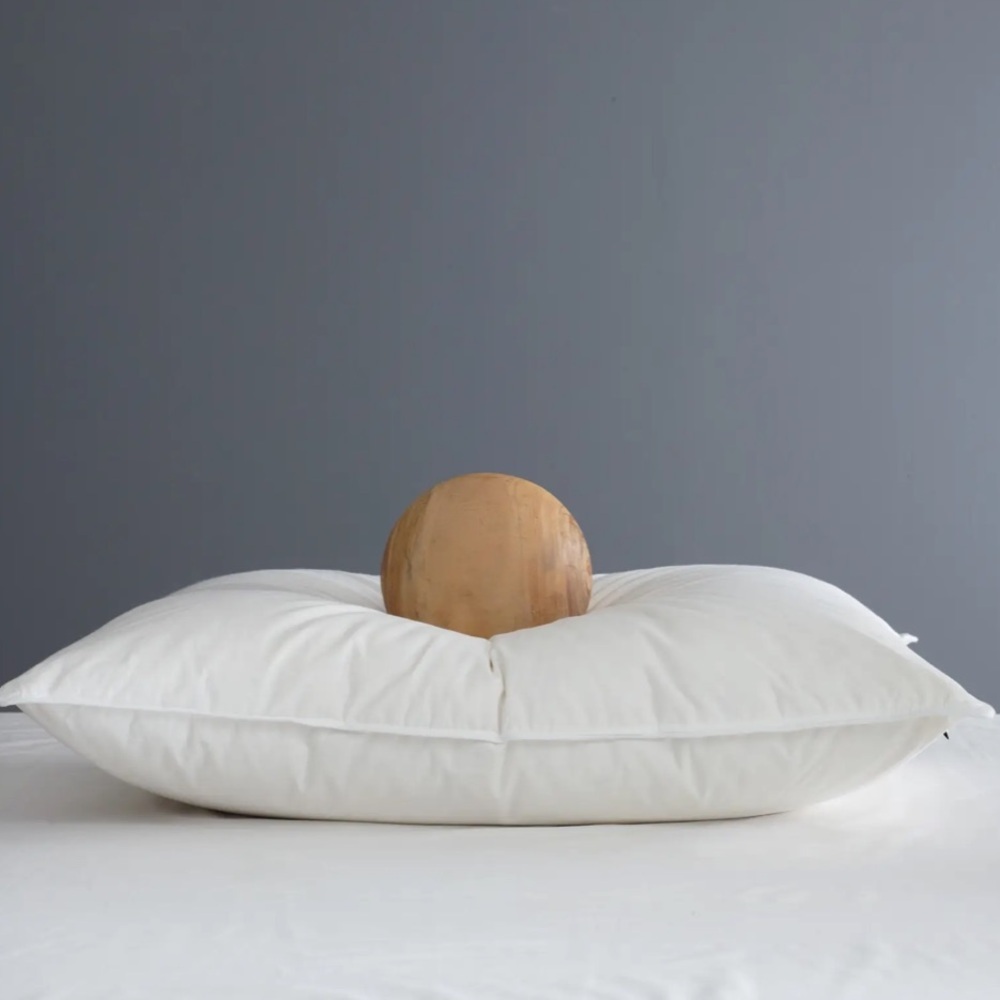 NWOT QUINCE Premium Down Alternative Pillow Soft Standard 4028
